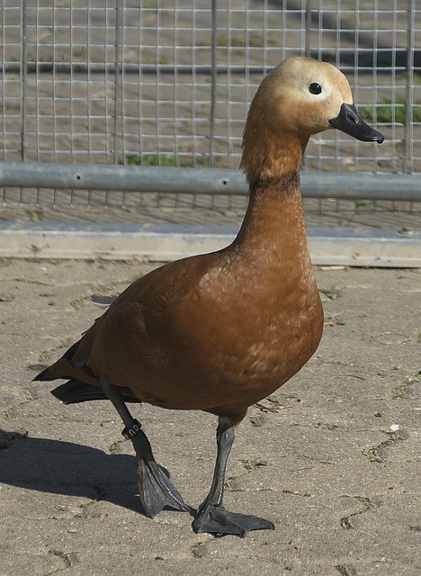 小結